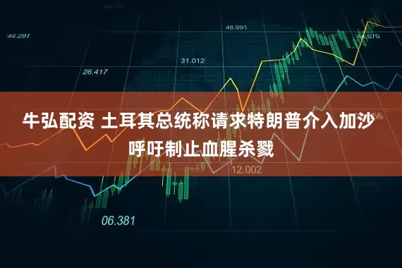 牛弘配资 土耳其总统称请求特朗普介入加沙 呼吁制止血腥杀戮