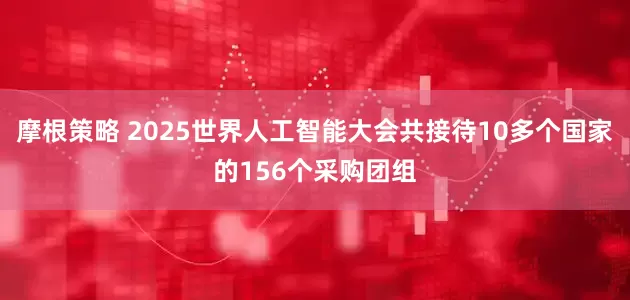 摩根策略 2025世界人工智能大会共接待10多个国家的156个采购团组