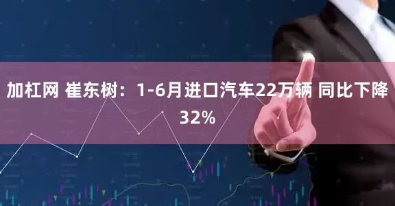 加杠网 崔东树：1-6月进口汽车22万辆 同比下降32%
